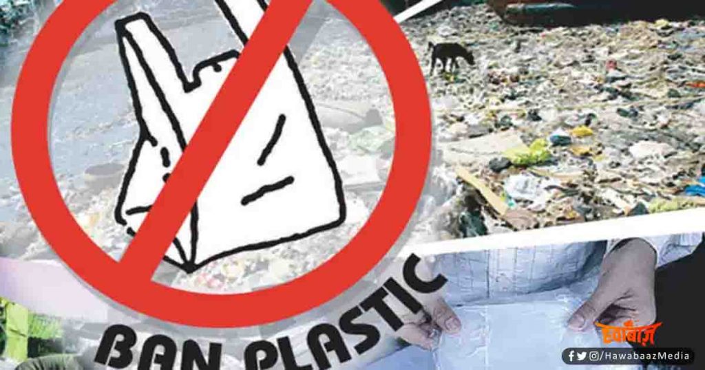Plastic Carry Bag, Carry Bag ban in Bihar, Carry Bag in Bihar, Patna High Court, Bihar news, Bihar hindi news, Bihar hindi khabar, Bihar update, Bihar lettest udpate, 