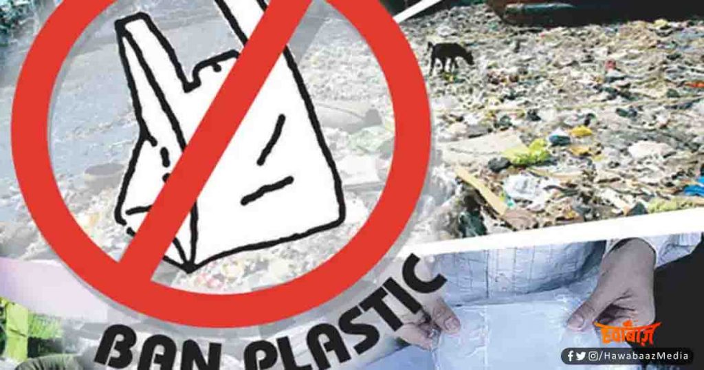 Plastic Carry Bag, Carry Bag ban in Bihar, Carry Bag in Bihar, Patna High Court, Bihar news, Bihar hindi news, Bihar hindi khabar, Bihar update, Bihar lettest udpate,