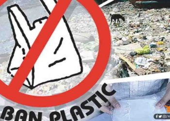 Plastic Carry Bag, Carry Bag ban in Bihar, Carry Bag in Bihar, Patna High Court, Bihar news, Bihar hindi news, Bihar hindi khabar, Bihar update, Bihar lettest udpate,