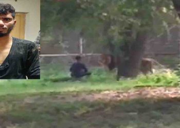 शेर के बाड़े में कूद गया यह आदमी और फिर जो हुआ वो और हैरान करने वाला था