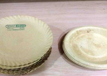 अब पुआल से बने प्लेट-कटोरी में खाना खा सकेंगे लोग