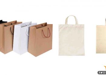 कागज और सूती के बैग भी प्लास्टिक जितने ही नुकसानदेह है : जाने क्यों?