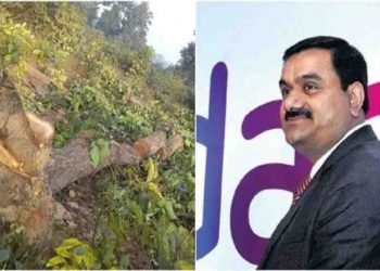 अडानी के लिये काट दिए गए हैं 40 हजार पेड़ : कोयला के लिये सोने पर चोट हो रही है