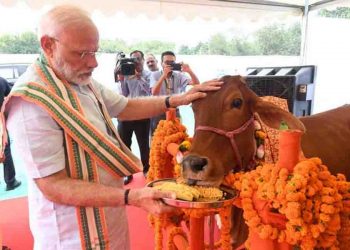 गाय की यूरिन से बने कैप्सूल-टेबलेट से होगा कैंसर का इलाज होगा : वैज्ञानिकों ने फ्रिज ड्राइंग टेक्नोलॉजी से दवा बनाई