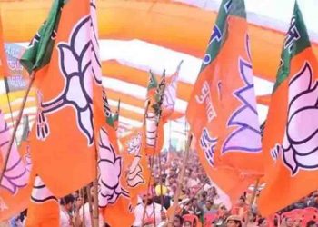 BJP candidate List, BJP Bihar candidate list, BJP first List, BJP MLC Name, Bihar Election, Bihar Election 2020, Bihar Khabar, Bihar news, Bihar Samachar,