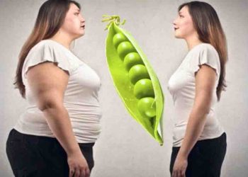 मोटापा कम करना है तो जमकर खाएं मटर, मिलेगा 100% फायदा