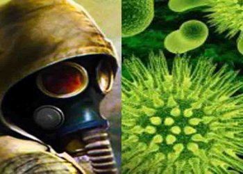 Corona Virus, Corona,