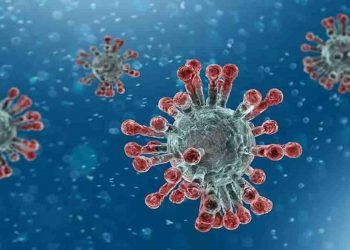 इजराइल के वैज्ञानिकों ने बनाई कोरोना की वैक्सीन, लोगों को जल्द मिल सकती है राहत