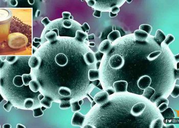 कोरोना से बचना है तो इन चीजों को शामिल करें आहार में