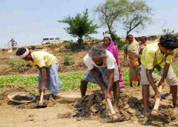 लॉकडाउन के बीच मनरेगा मजदुरों से काम करवा रहा है ठेकेदार : प्रशासन मौन