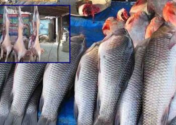 लाॅकडाउन में खूले रहेंगे मांस और मछली के दुकान, बिहार सरकार का आदेश जारी