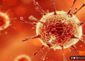 बिहार में फिर मिले कोरोना के दो नए मरीज, संख्या हुई 23