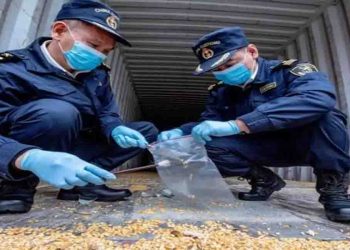 कोरोना, हंता के बाद चीन पहुंचा एक और वायरस, नष्ट करने पड़े 4 टन बीज