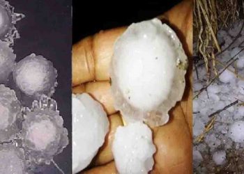 बिहार के कई जिलों में मूसलाधार बारिश के साथ गिरे ओले : साइज इतना बड़ा है कि सर टूट जाए