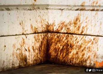 गुटखा-खैनी के है शौकिन तो जान लीजिये : जहां-तहां थूकने पर अब लगेगा 200 रुपए जुर्माना