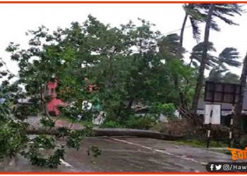 आज दिखेगा बिहार में ‘अम्फान’ का कहर : मौसम विभाग ने जारी किया अलर्ट