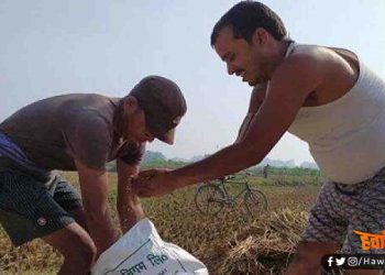 अब बिहार में खरीफ फसलों के बीज की सभी जिलों में होगी होम डिलीवरी