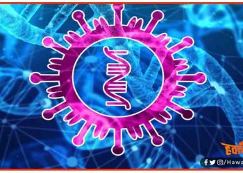 कोरोना की पहली वैक्सीन बनाने का दावा, ह्यूमन ट्रायल में रही सफल