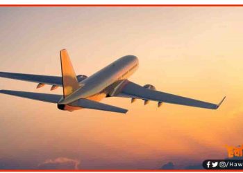 Flight, Flight from india