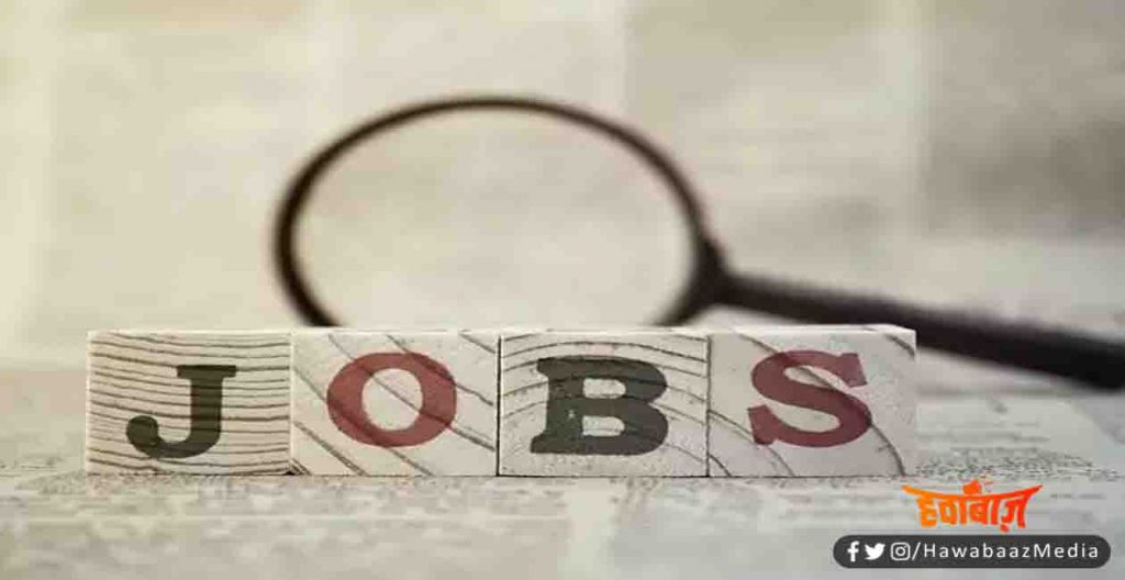Jobs, Job apply, Professor ke pad par nikli vacancy,