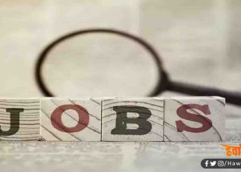 Jobs, Job apply, Professor ke pad par nikli vacancy,