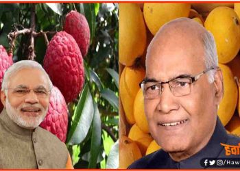 प्रधानमंत्री और राष्ट्रपति इस बार नहीं ले पाएंगे बिहार की शाही लीची और जर्दालू आम का स्वाद