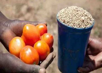 बिहार ने ढूंढ लिया लॉकडाउन से लड़ने का उपाय : शुरू किया सामान के बदले सामान लेने-देने का प्रचलन