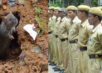 bihar, Bihar news, Bihar lettest update, Bihar update, Hawabaaz media