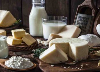 Bihar, Bihar news, Cow, Milk, Bihar lettest news, Business update, Corona Update, Bihar update, Hawabaaz media