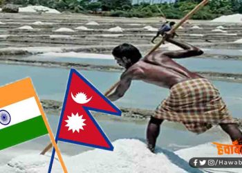 India, Nepal, Bihar, News, Update, Bihar news, Bihar news, Bihar lettest news