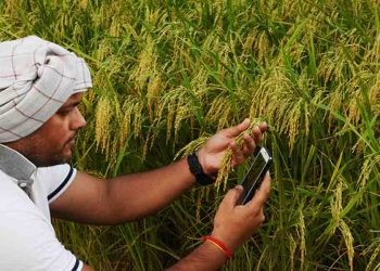 Kisan, Pm Kisan, Bihar, Bihar news, Bihar lettest update, Bihar update