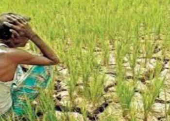 सिर्फ 3 रूपये 46 पैसे का लोन चुकाने के लिये चलना पड़ा 15KM पैदल : कोरोना के कारण नहीं मिली सवारी