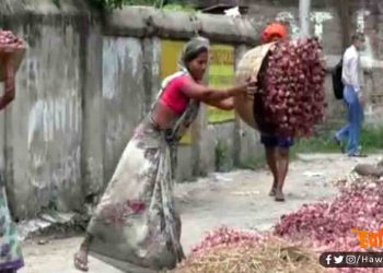 लॉकडाउन में मंहगे हुए प्याज की हो गई है ऐसी गति कि किसान फेंकने को हो रहे मजबूर