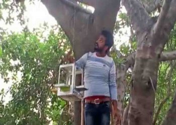 ये बिहारी ‘यूथ बिल्डर्स’ बनाते हैं चिडि़यों के लिये आशि‍याना : एक छत के नीचे मिलती है दाना-पानी की सुविधा