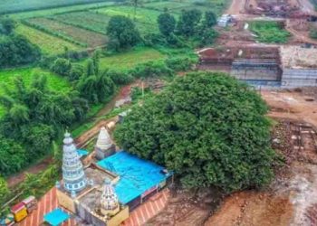 Banyan Treee, Big Breaking, Bihar breaking, Maharshtra Breaking, Breaking news, Bihar flood, Bihar me baadh