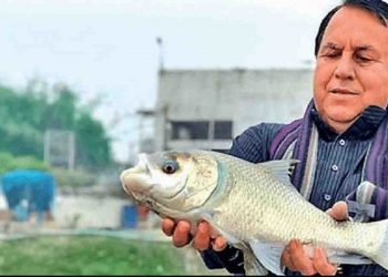 यह बिहारी कई बड़े-बड़े कारोबारी को दे रहा टक्कर : मछली पालन कर एक साल में कमा रहे हैं करोड़ों रूपए
