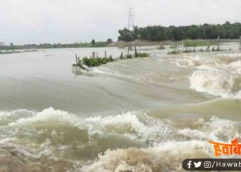 Flood in Bihar, Bihar flood, Bihar me baadh, Baadh ki sthiti, Bihar news, Baadh Update, Flood Update, Bihar me baadh, Khabar aaj tak, NDTV news, Bihar me bahar hai