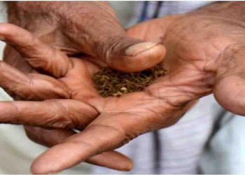 बिहार के सचिवालय में खैनी रगड़ था लिपिक : अधि‍कारियों ने देखा और संस्पेंड  कर दिया