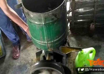 Oil, Mustred Oil, Bihar, Bihar news, Bihar breaking news. Darbhanga, Saharsa, madhubani