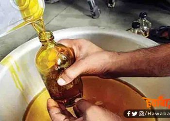 Sarso Tel, Mustred Oil, Diwali me tel sasta, Bihar news, Bihar lettest news, Bihar update, Bihar khabar, Bihar hindi news, Bihar lettest news, Bihar khabar, Bihar samachar,