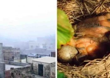 Tamilnadu, Bihar, Bihar NEws, Bihar Samachar, Bihar khabar, News update