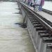 Flood, Bihar Flood, Bihar Samachar, Bihar news, Saharsa news, News Update, Lettest news update
