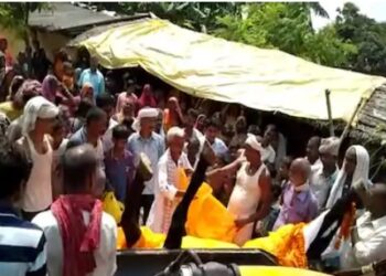 अपराधियों ने की घोडे की गोली मार कर हत्‍या, हुआ हिंदू रिवाज के तहत अंतिम संस्‍कार