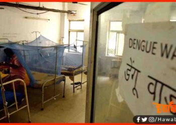 Dengue Ward, Dengue in Patna, Dengue in Bihar,