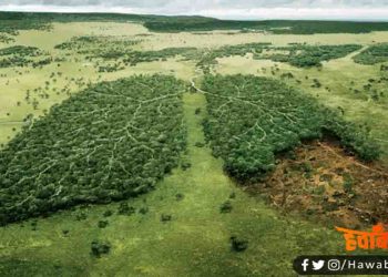 फेफड़े मजबूत करने हैं, तो इस 10 टिप्स  पर आज से अमल करना शुरू कर दो