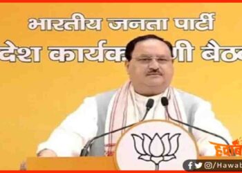 Jp Nadda, Bihar Election, Bihar election 2020