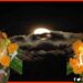 Chaurchan, Chauth Chand, Chauth chan, Mithila Festival, Maithil Festival, Bihar,