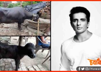 Sonu Sood, Bihar, Sonu Sood Helped bihar bhola, Soon Sood