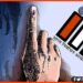 Bihar Election, Bihar Election 2020, Voter List, One Voter List for All Ellection, Voter List