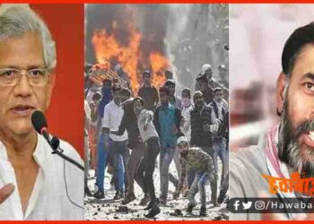 Delhi Riots, delih danga, Yogendra Yadav, sitaram Yechuri, Apurvanand,